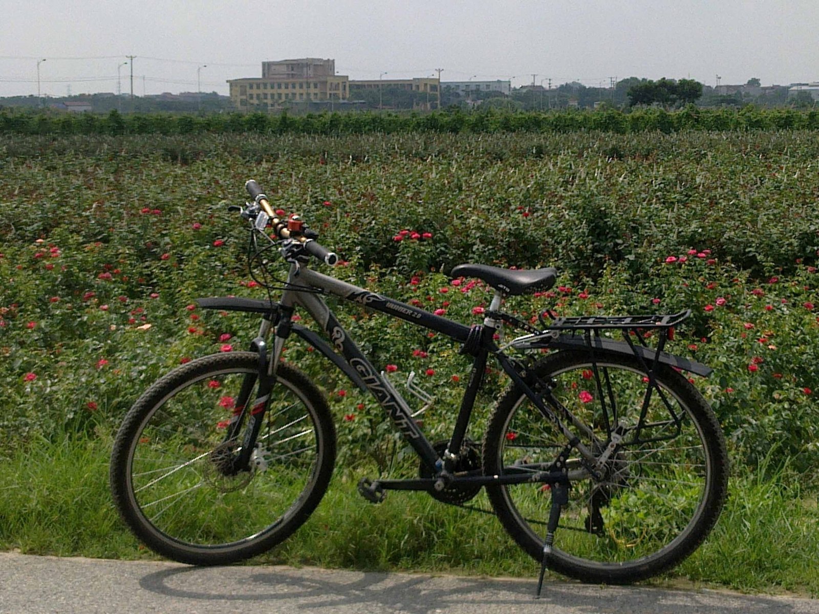 Hanoi Countryside Bike Trip Half Day